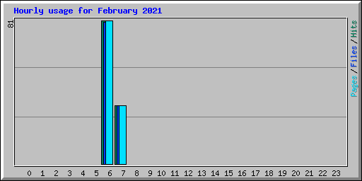 Hourly usage for February 2021